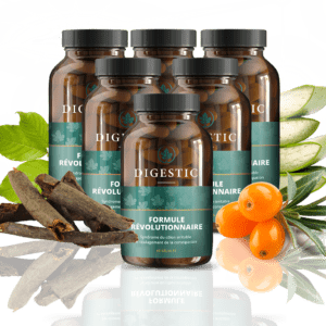 Digestic – 360 Gélules (6 Flacons)